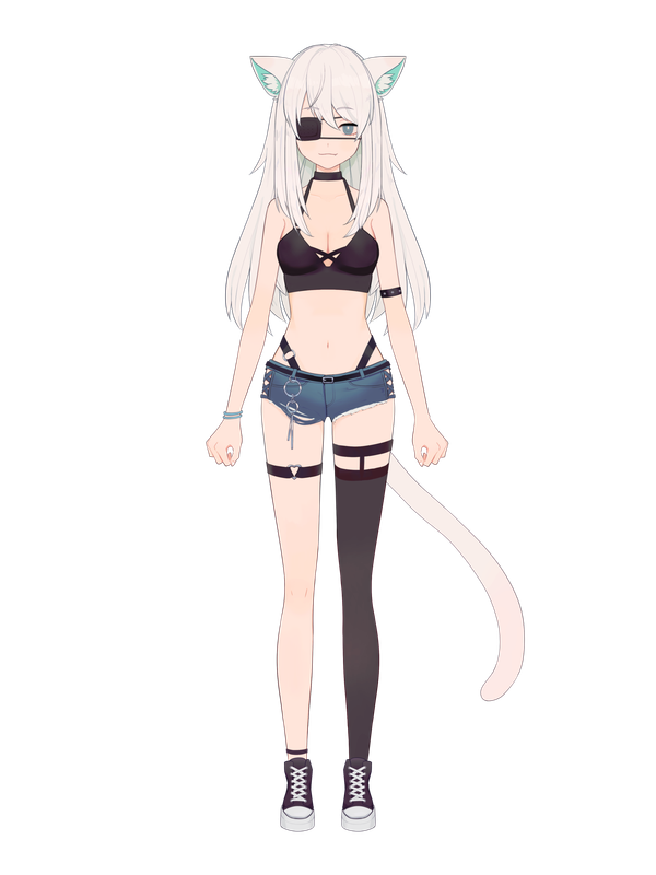 Version 2.0 (no jacket)