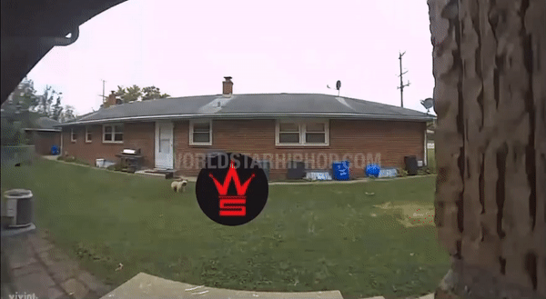 92670-A27-CF85-4-F35-A9-BF-1447-F18-CEB67.gif