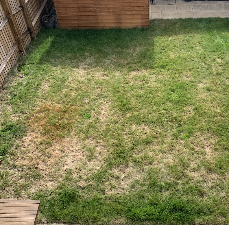 Turf keeps dying DIYnot Forums