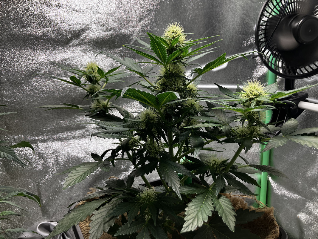 D74ED7C9-42A8-4650-89B0-0730B3E3C5DC