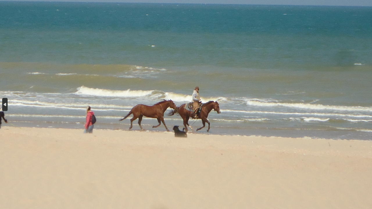 Capture d’écran (89)