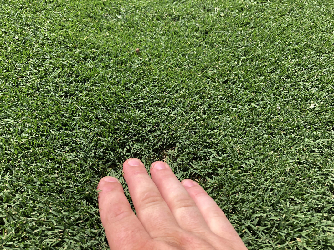 E0A1C3E7-DAD6-42FB-8ACB-3CBB2769E5E2