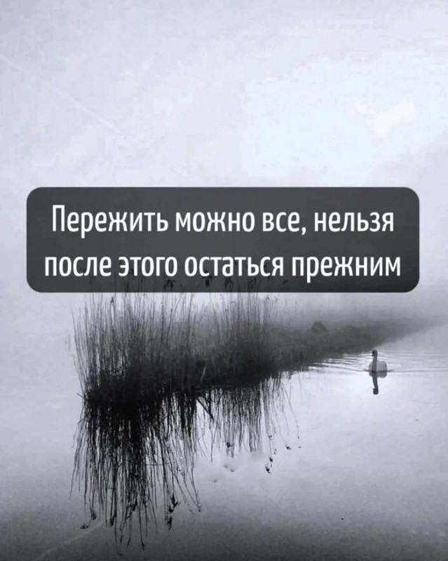 [Изображение: 5c7e96964349f6a0f0bd5b0d4fed16ee.jpg]