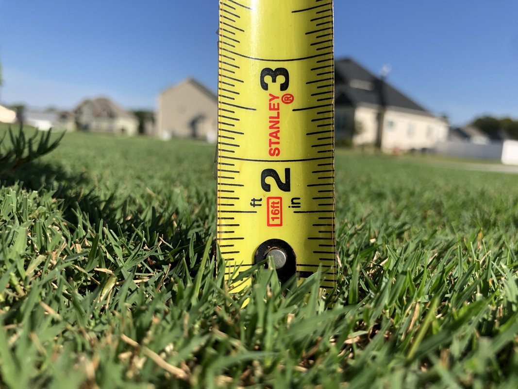 Grass height pics? The Lawn Forum
