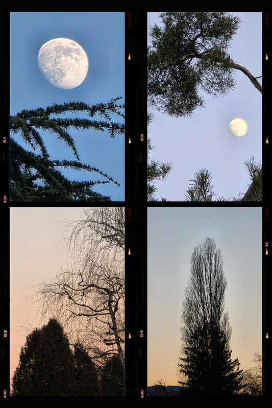 Fêtes de Réveillon et de fin