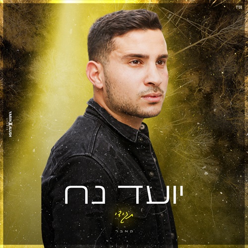 תמונה