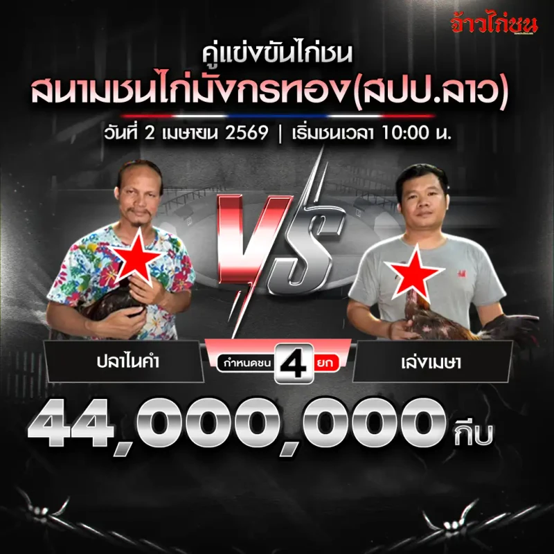 ปลาไนคำ พบ เล่งเมษา สรุปผลไก่ชน สนามชนไก่มังกรทอง