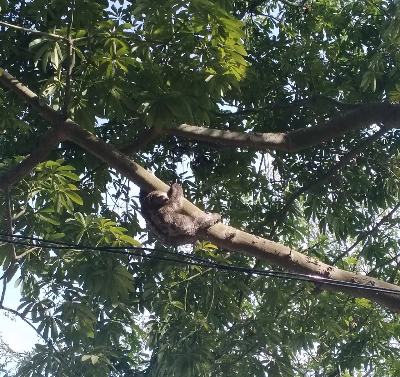 Зимовка 2026, полтора месяца в Колумбии.