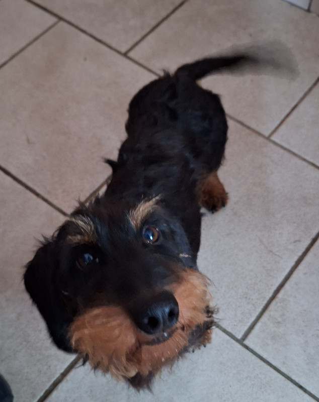 [Image: 20250708-165341.jpg]