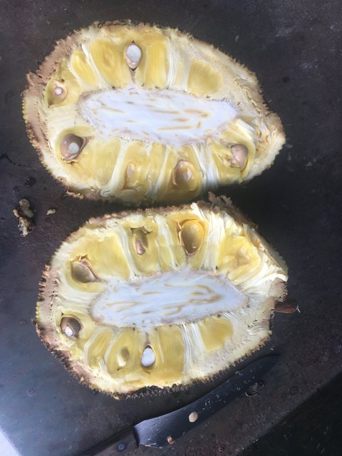 F50A638F-B296-4326-8A71-0FAA07432A77