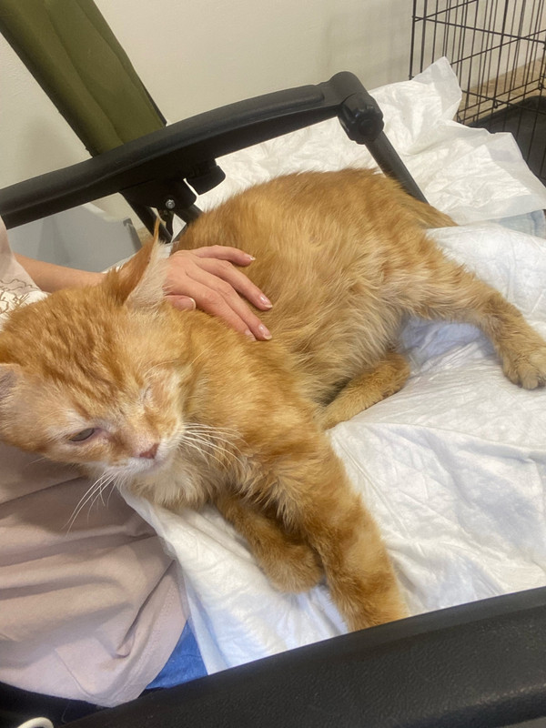 0E3xha2PyKBKUOU-t2UX6xKwjQvKsjTSxUjFZVqkS_8xDwG1b8jvPVoYF6ysm5r736oGlRDspx12toYAn5j97uIt-1