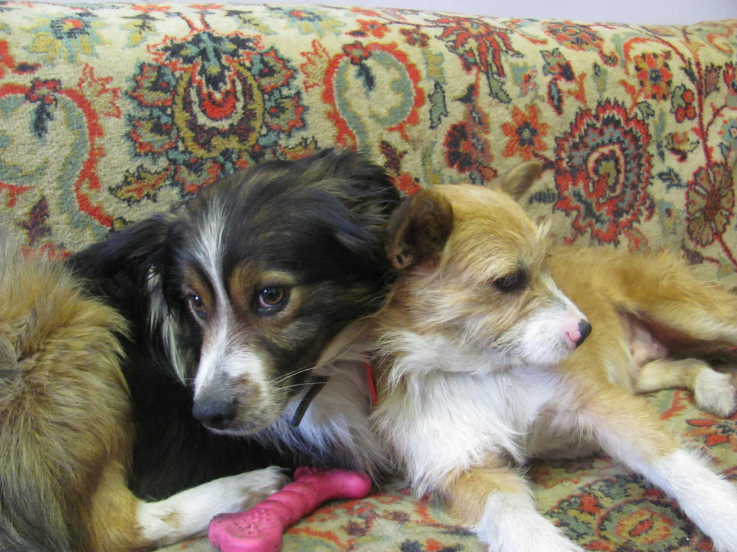 Изображение 033