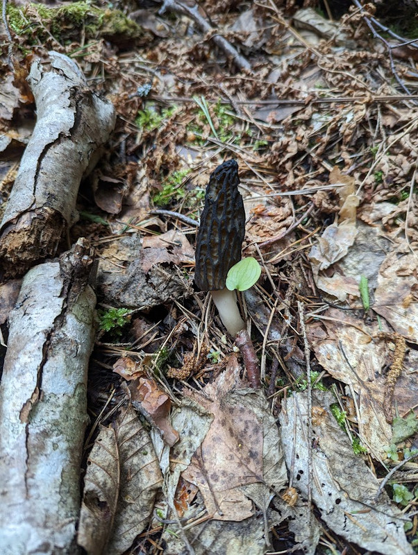 PXL_20230603_102555761