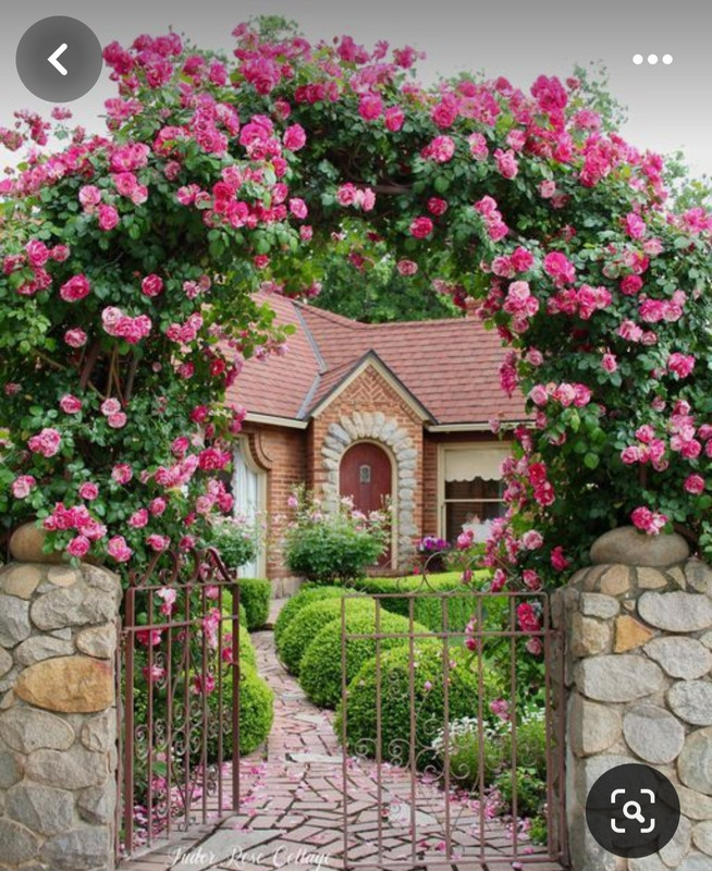 Screenshot_20240507_174327_Pinterest