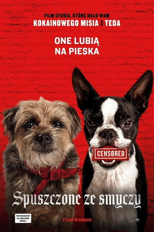 Spuszczone ze smyczy / Strays (2023)