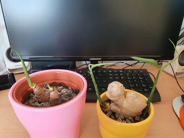 [Image: gung-nghe.jpg]