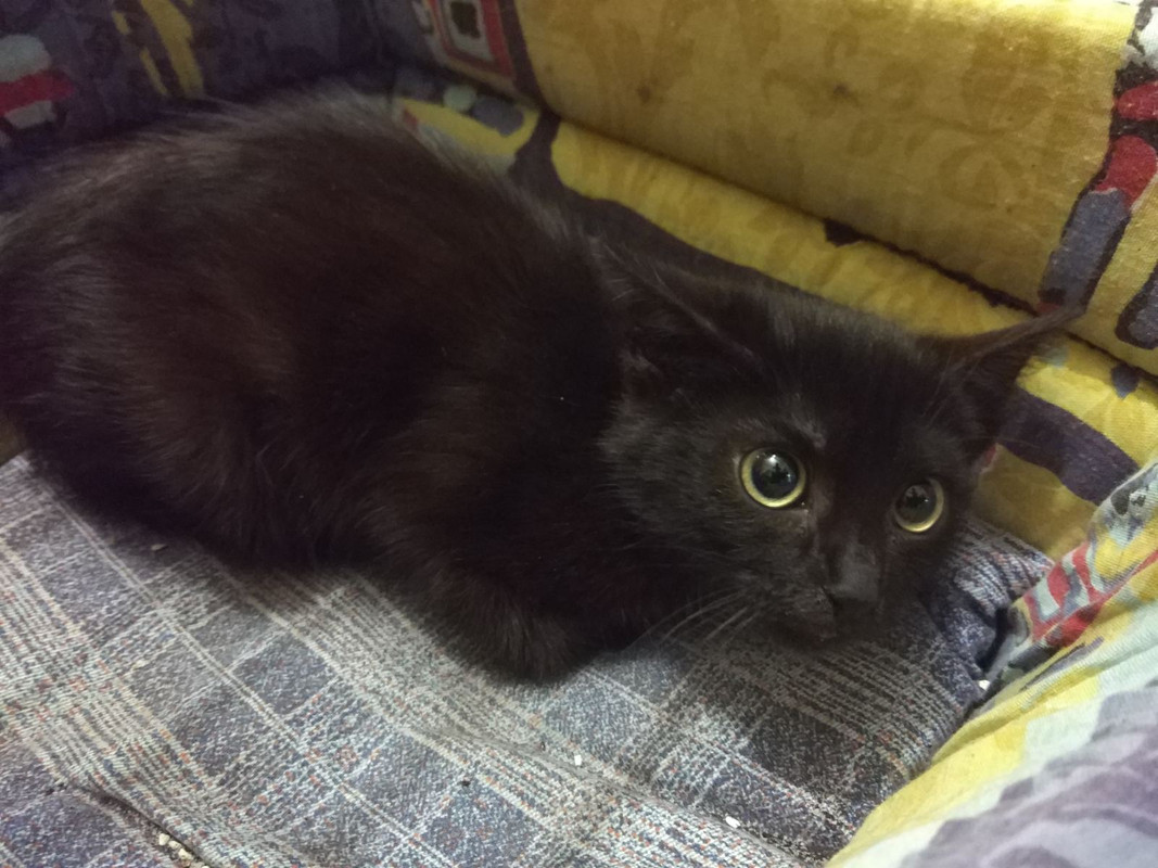 IMG-64672edcba00dc2546c907fb9fbcd961-V