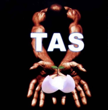 VA - TAS: The Absolute Sound Collection (1996-2013)