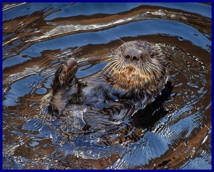 An den Beitrag angehängtes Bild: https://i.postimg.cc/wTzT4rJJ/vrijdag-1.jpg