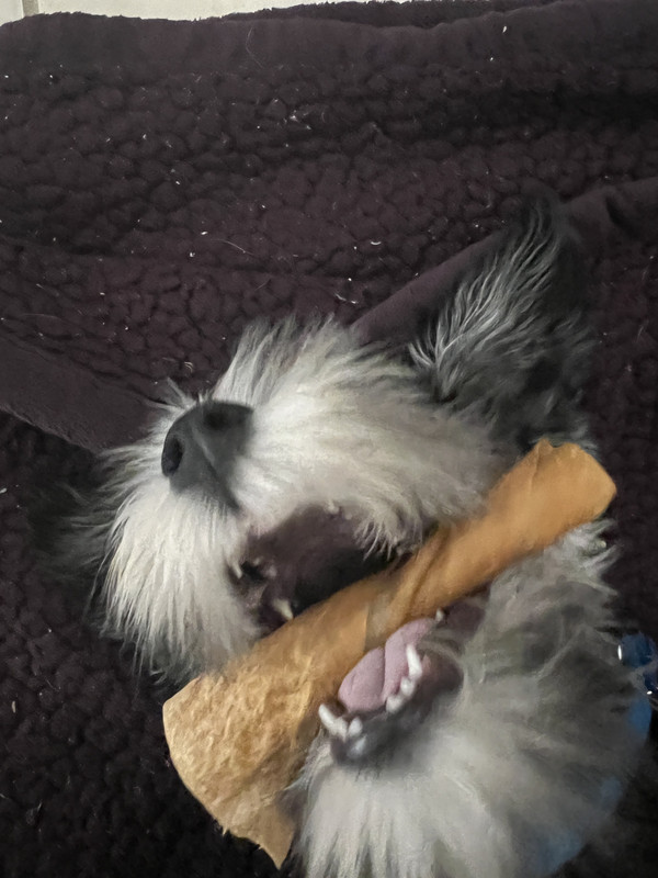 FAA3D1EA-F0FA-4B52-9101-55BBF980039D