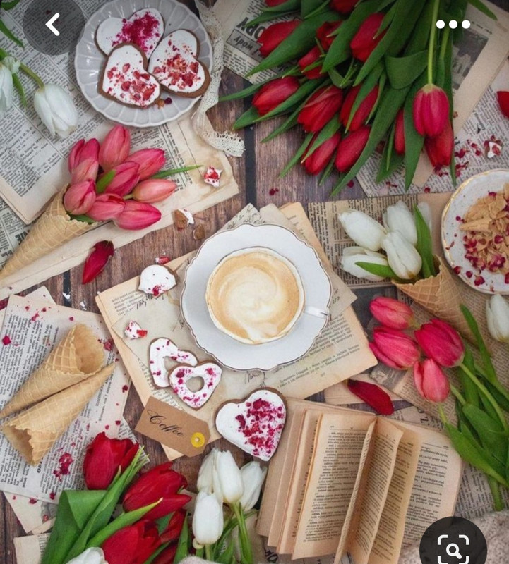 Screenshot_20230717_222539_Pinterest