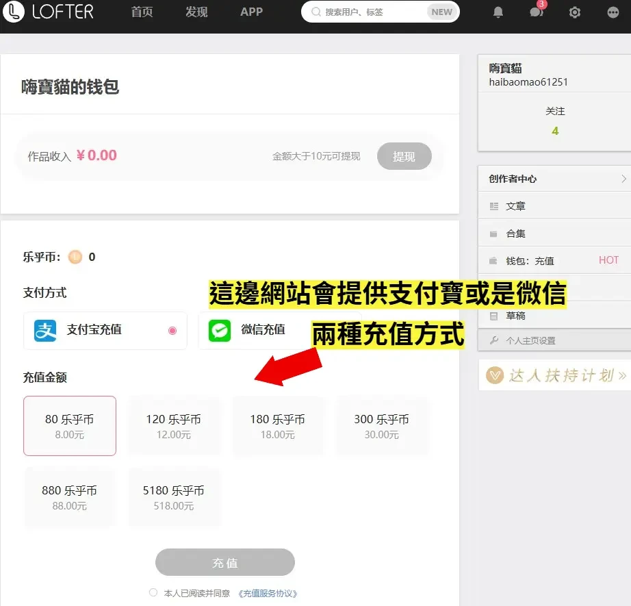 LOFTER 樂乎幣面額選擇與支付寶微信結帳