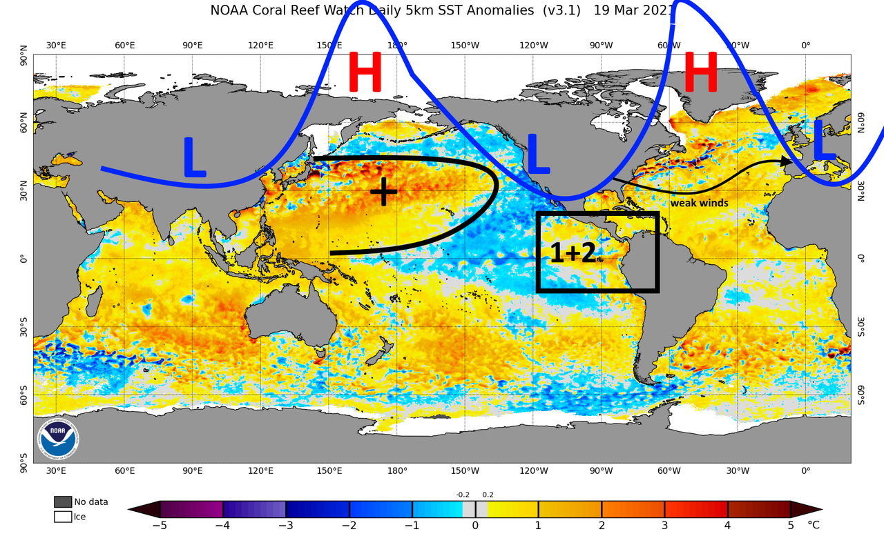 ssta-daily-current.png