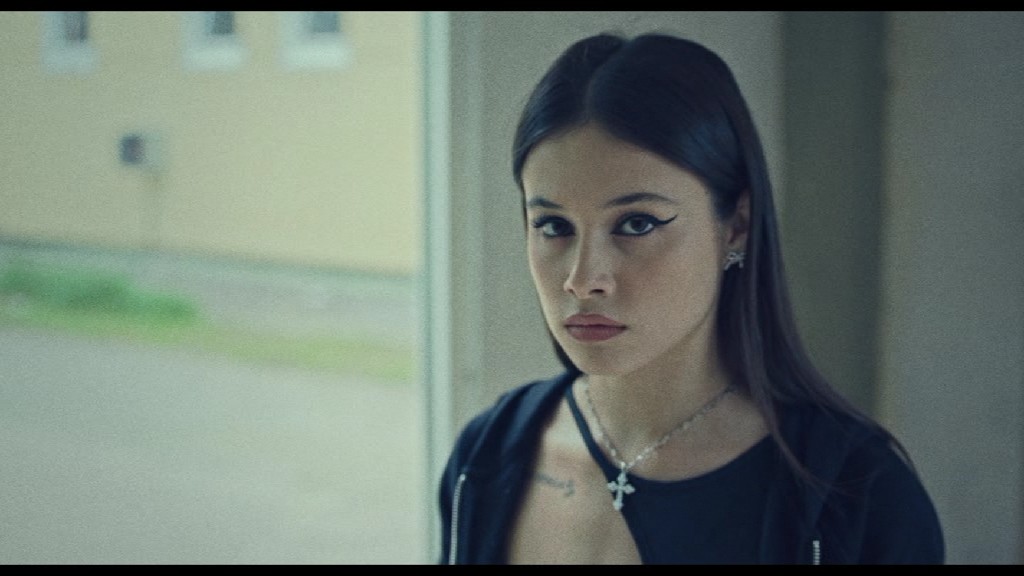 PDVD 001