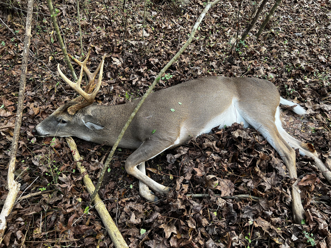 9303303D-9D62-4A5D-A4A1-1A50640AAD2E