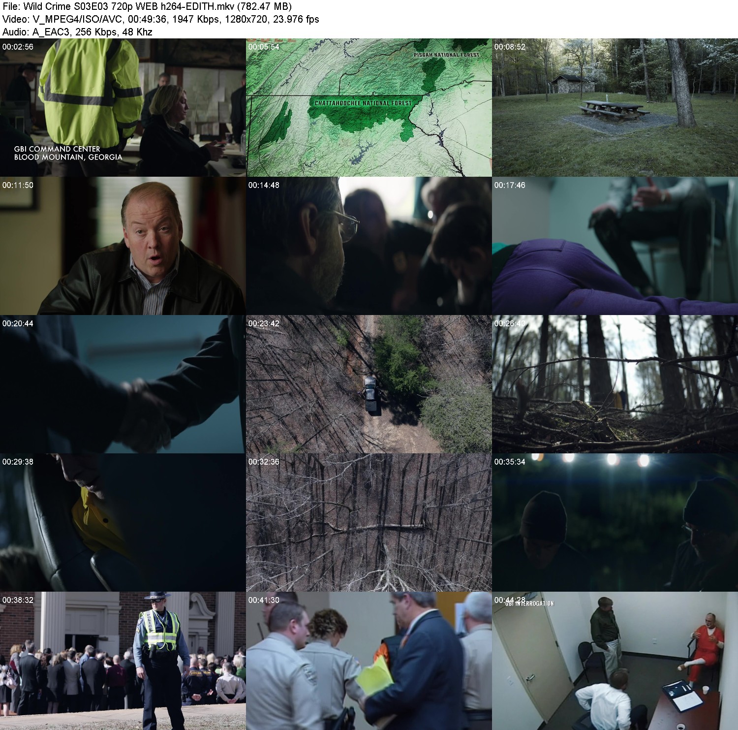 [Image: 9qxgoos34t5r.jpg]