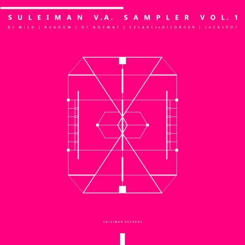 VA - Suleiman V.A. Sampler Vol 1. (2026) MP3