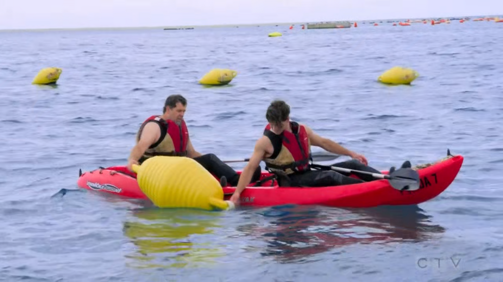 [Image: 99fj50pwnnel.png]