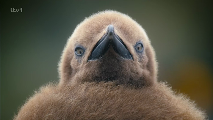 [Image: db9jym4m4u0y.png]