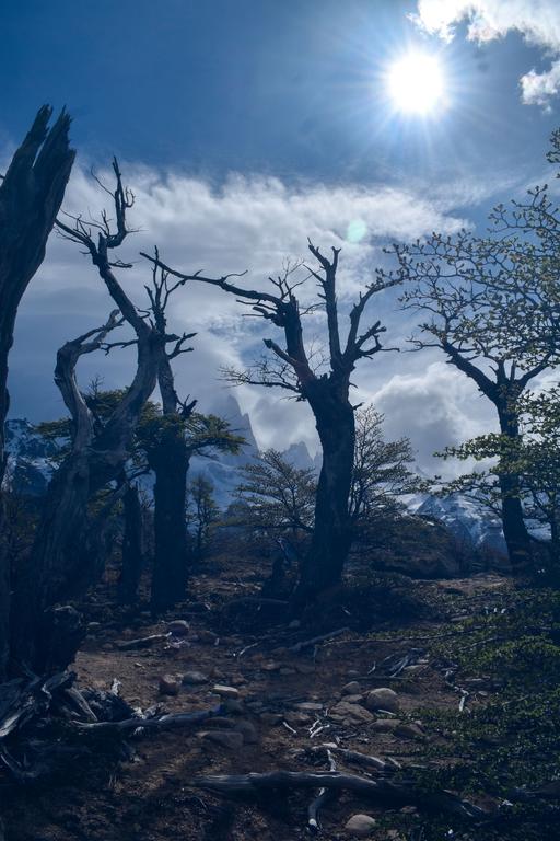 В джазе только девушки или аргентинско-бразильский калейдоскоп В джазе только девушки или аргентинско-бразильский калейдоскоп