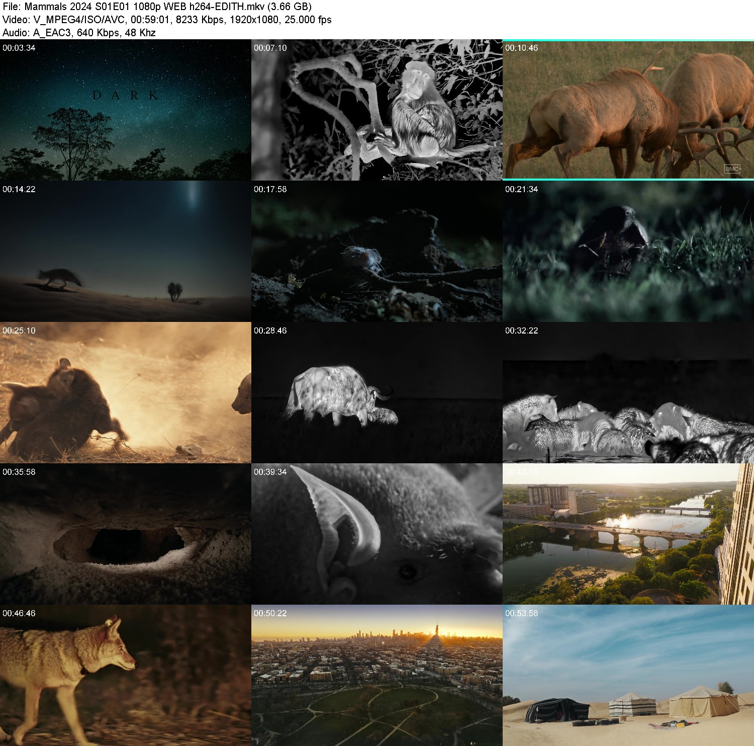 [Image: pteya379w5lt.jpg]