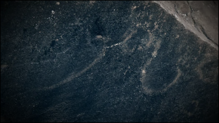 [Image: akz97ta6g1hn.png]