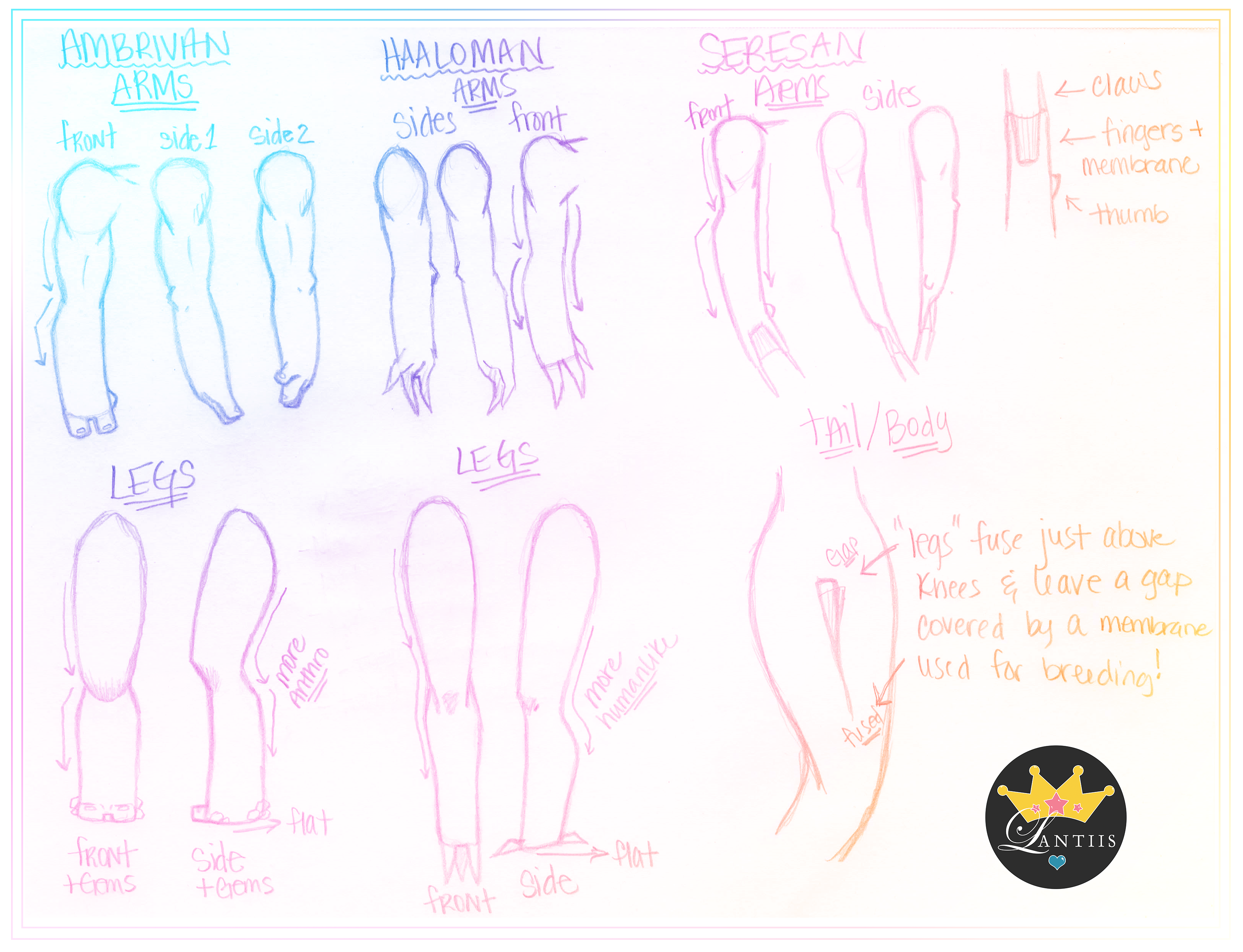 how-to-drawing-ambaran-species-by-mamala