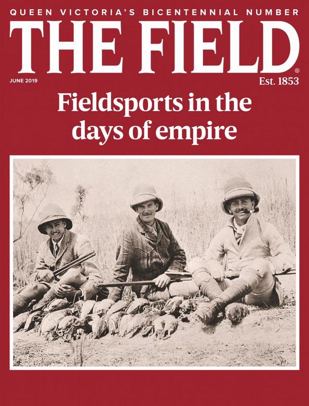 The-Field-June-2019-cover.jpg