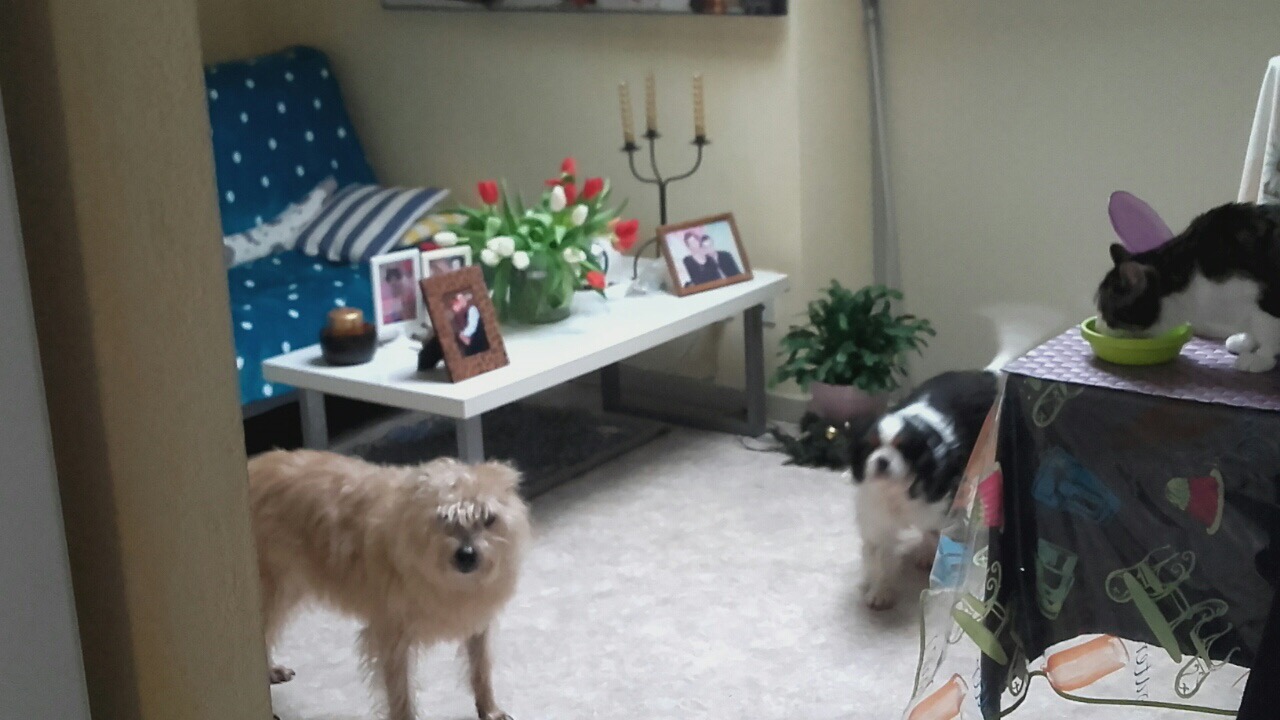 85B50C89-7DD4-4426-91BF-9E61FF71FE87