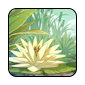 lilypad-II1.png