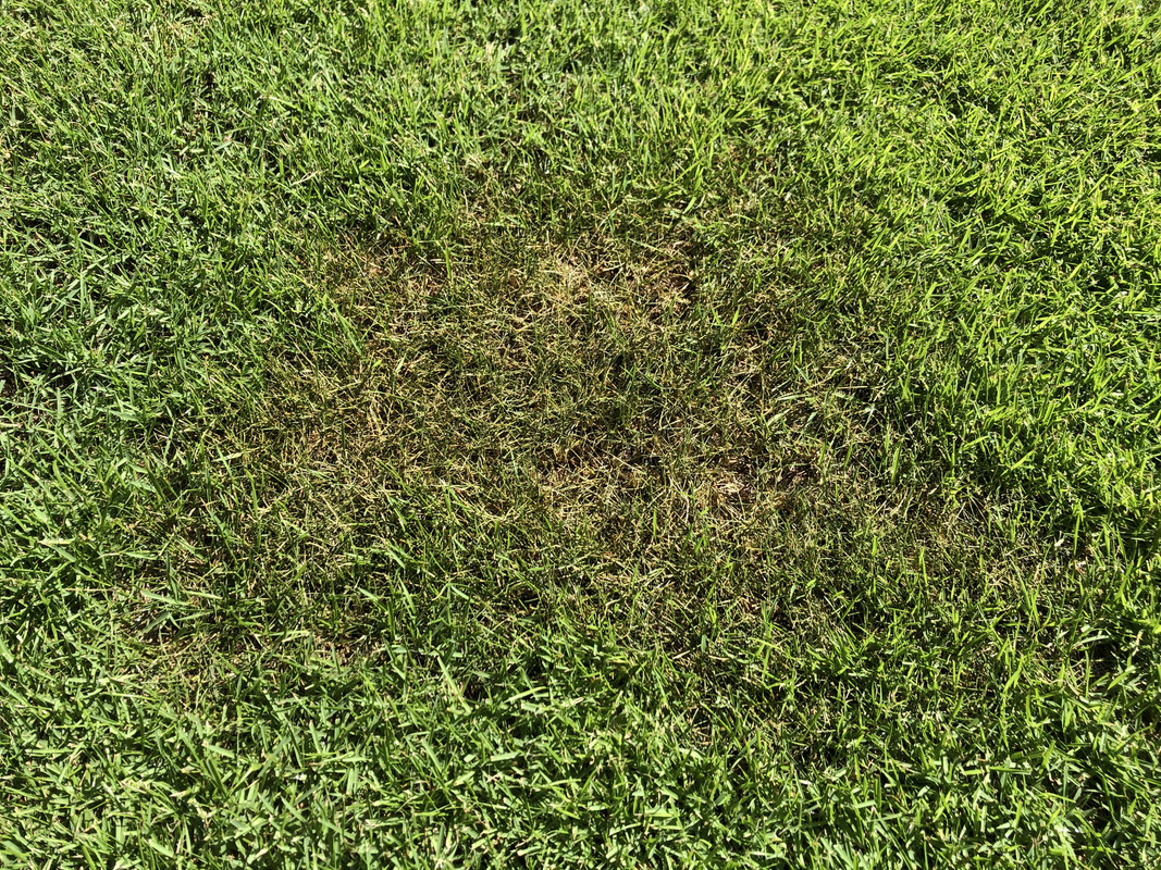 D62A4CCA-DA3C-4CC1-AC60-3FB2458CBFA0