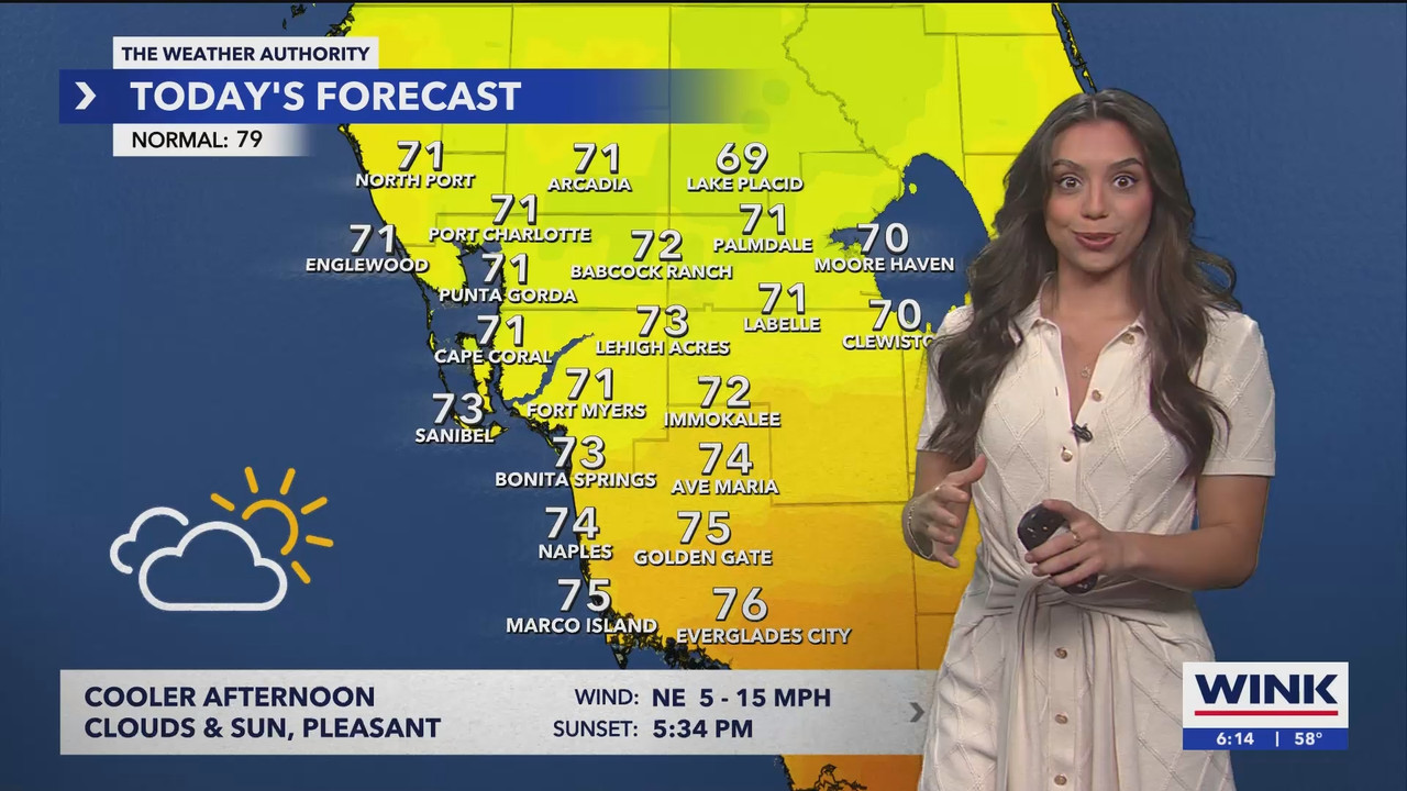 WINK NEWS at 600am Saturday_20241130_11001200.ts_snapshot_00.15.39.547