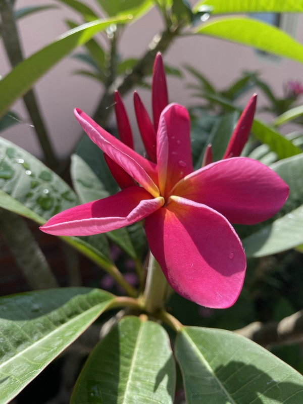 F79E76A3-6D54-4B81-8616-CB11F0BB6FCA_1_105_c