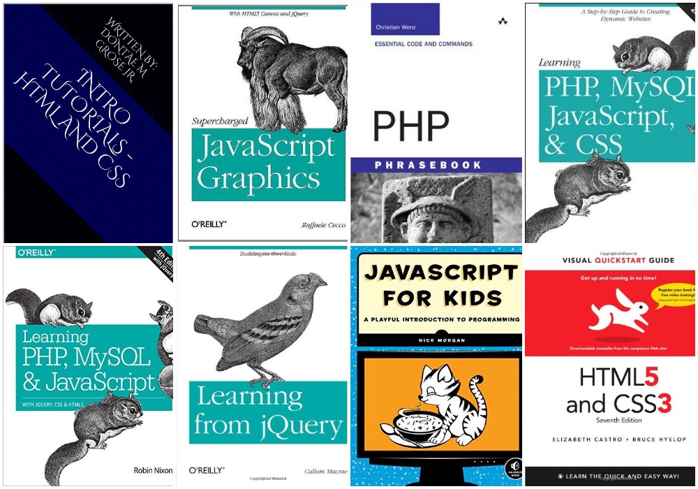 20 Web Development Books Collection Pack 1