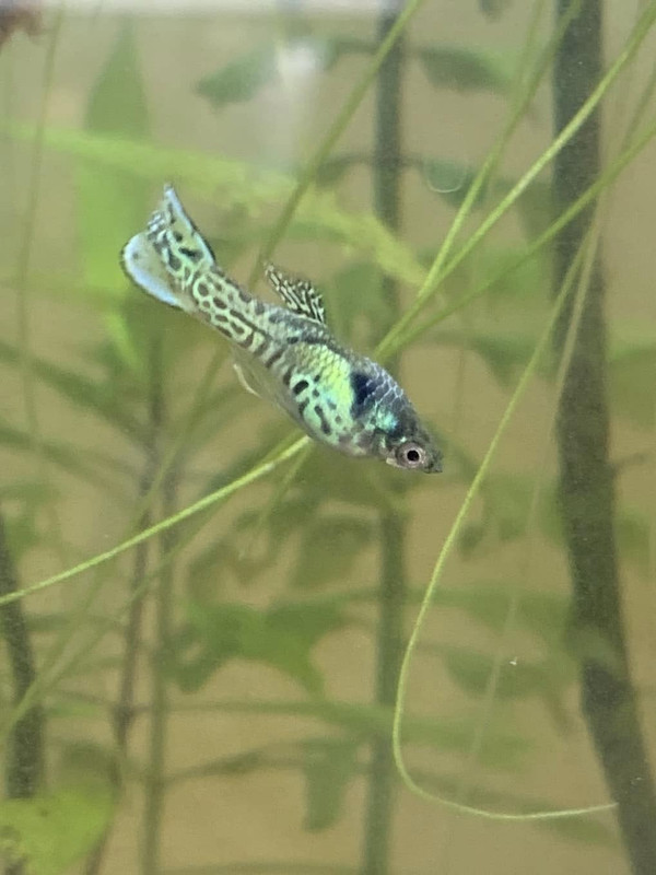 474222428_10232087321778385_6203873517593531539_n