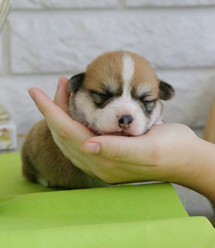 IMG_5372  мальчик с хвостом  8.06.21