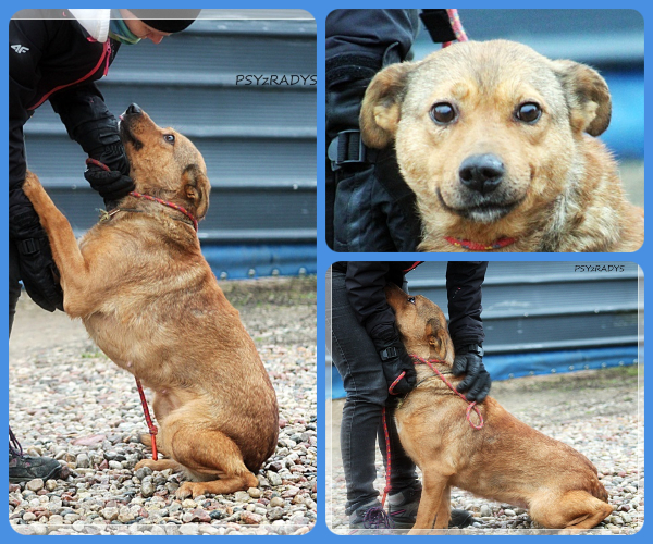 BeFunky-collage (28)