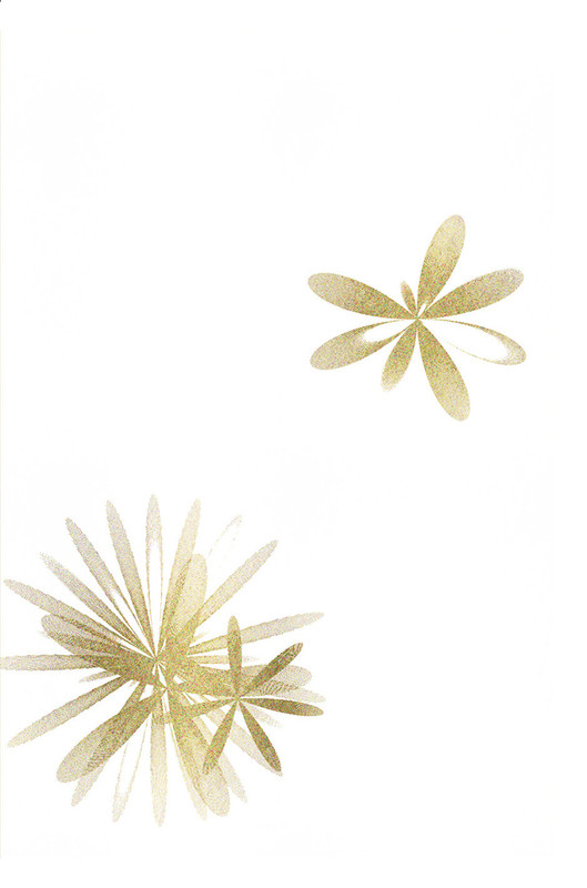 3 кошачьих шагов рубашка