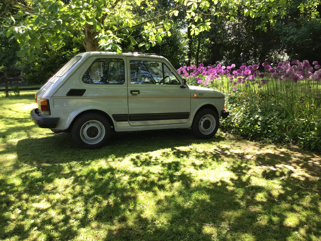 395024F7-8C68-4233-B7F4-5954A10E46ED