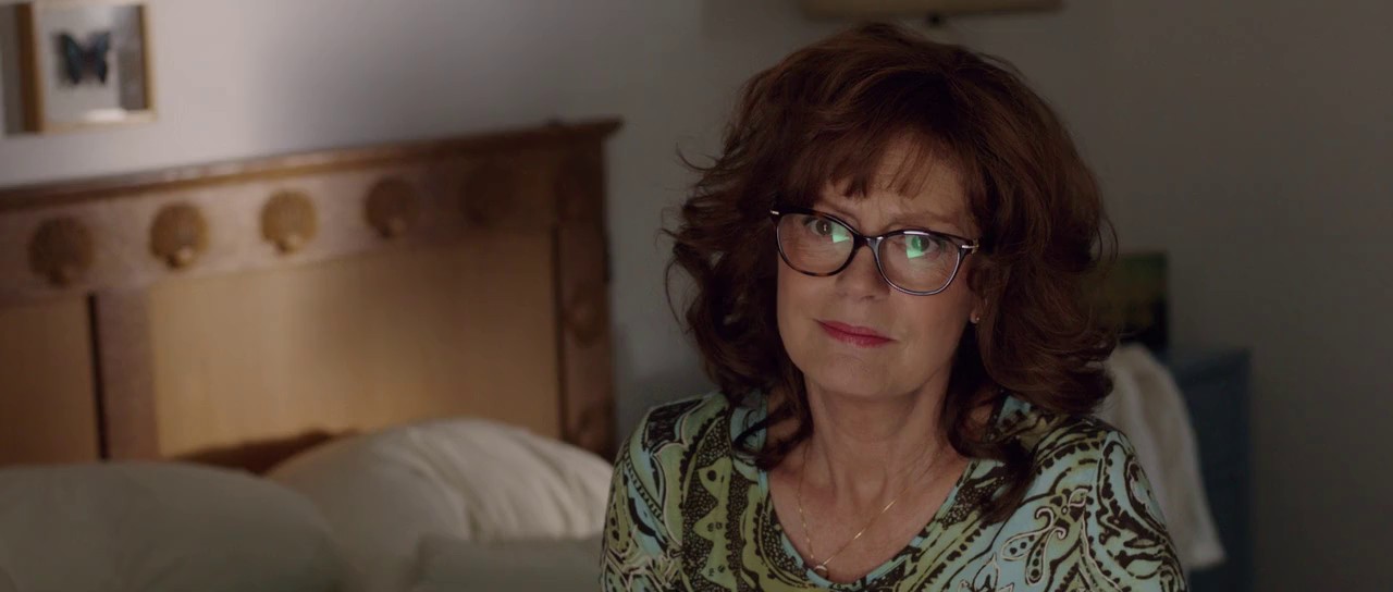 The-Meddler-2016-Hindi-English-Blu-Ray-720p-x264-AVC-AAC-6ch-MSub-mkv-0000